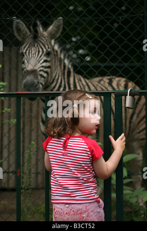 Junge Mädchen, die Prüfung des Gehäuses mit Damara-Zebra (Equus Quagga Antiquorum) im Schönbrunn Zoo in Wien, Österreich Stockfoto