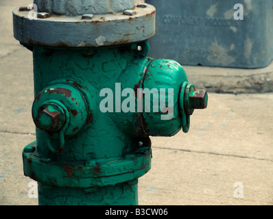 Hydranten. Oak Park. Cook County. Illinois. USA Stockfoto