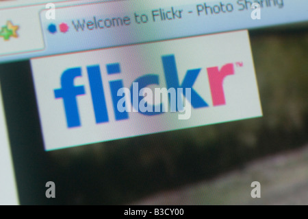 Das Logo von Flickr wird auf einem Computerbildschirm angezeigt. Stockfoto