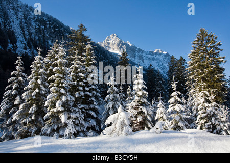 Deutschland, Bayern, Winterlandschaft in den Hintergrund-Wettersteingebirge Stockfoto