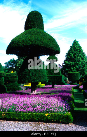 Topiary Garten in Levens Hall im Sommer Stockfoto