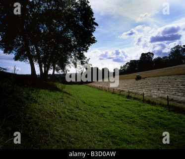 Heu machen Stockfoto