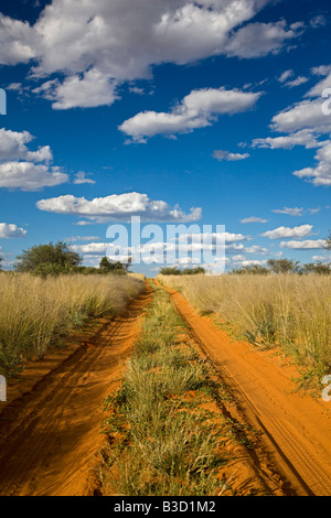 Afrika, Botswana, Steig durch die Kalahari-Wüste Stockfoto