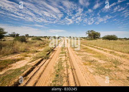 Afrika, Botswana, Steig durch die Kalahari-Wüste Stockfoto