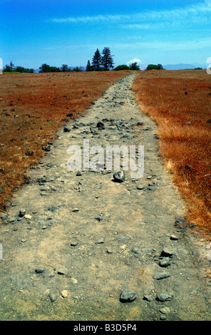 Ein steiniger Feldweg im Land führt zu irgendwo und nirgendwo. Stockfoto