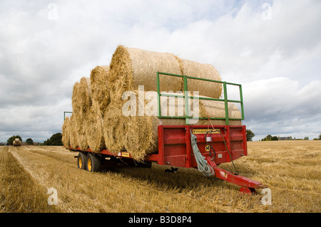 Stapel von Stroh Rundballen auf Anhänger im Stoppelfeld Stockfoto