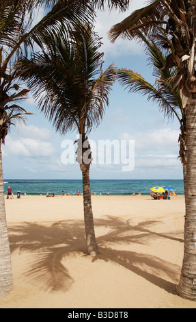 Playa de Las Canteras in Las Palmas auf Gran Canaria auf den Kanarischen Inseln Stockfoto