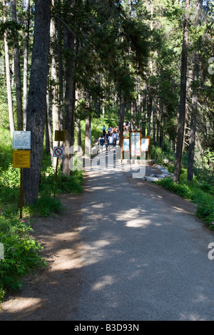 Johnson Canyon in Banff Nationalpark Stockfoto