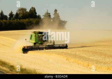 ein Mähdrescher der Weizen-Ernte in den sanften Hügeln der Palouse Region des südöstlichen US-Bundesstaat Washington Stockfoto