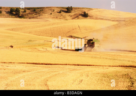 ein Mähdrescher der Weizen-Ernte in den sanften Hügeln der Palouse Region des südöstlichen US-Bundesstaat Washington Stockfoto