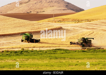 ein Mähdrescher der Weizen-Ernte in den sanften Hügeln der Palouse Region des südöstlichen US-Bundesstaat Washington Stockfoto