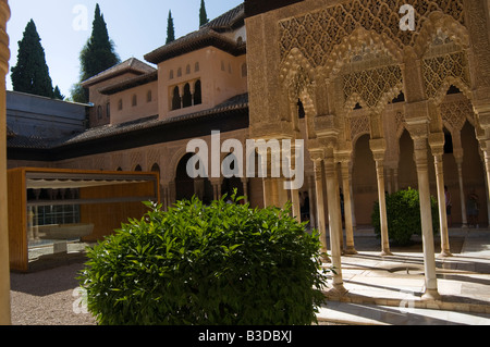 Patio de Los Leones Alhambra Granada Andalusien Lion Patio Alhambra Granada Andalusien Andalusien Spanien Stockfoto