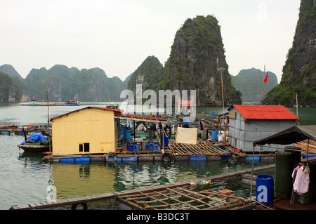 Schwimmende Fischfarmen in Halong Bay, Provinz Quang Ninh, Vietnam, Asien Stockfoto