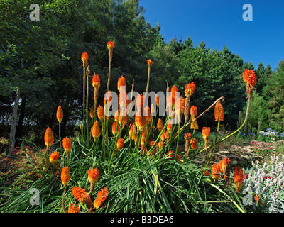 Gartenblick East ruston Old Vicarage garden Norfolk England England Stockfoto