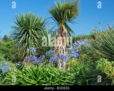 Gartenblick East ruston Old Vicarage garden Norfolk England England Stockfoto