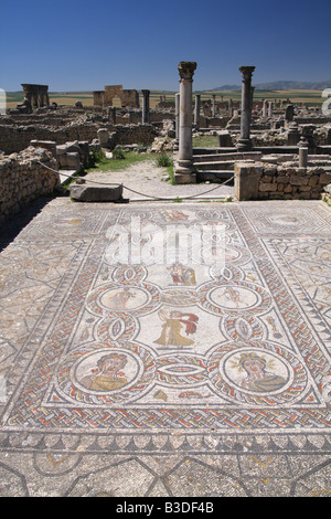 Bodenmosaik im Haus des Dionysos und die vier Jahreszeiten, Volubilis, Marokko Stockfoto
