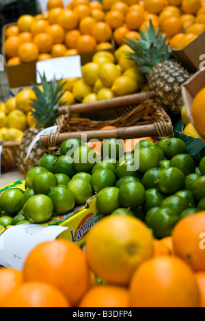 Zitrusfrüchte für Verkauf, Borough Market, London, UK Stockfoto