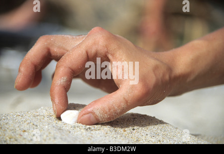 Italien, Sardinien, Menschenhand sammeln Schale, close-up Stockfoto