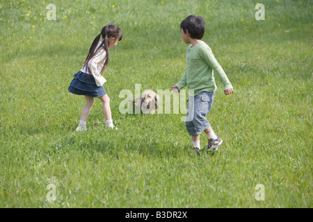 Kinder spielen mit einem niedlichen Welpen im park Stockfoto