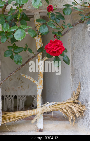 Szene in der Nähe von Banon in Provence Frankreich Stockfoto