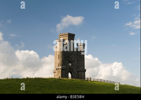 Paxton's Tower, Llanarthney, in der Nähe von Carmarthen, Wales, Großbritannien. Eine Torheit, die William Paxton etwa 1810 zum Gedenken an die Siege Lord Nelsons auf See errichtet hatte. Stockfoto