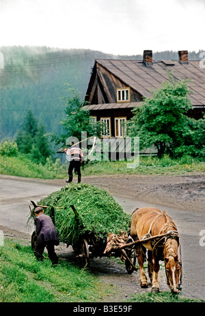 MANN LADEN PFERDEWAGEN MIT GRASS AN DER SEITE DER STRAßE IN EINEM BAUERNDORF AM FUßE DER HOHEN TATRA, 1995 Stockfoto