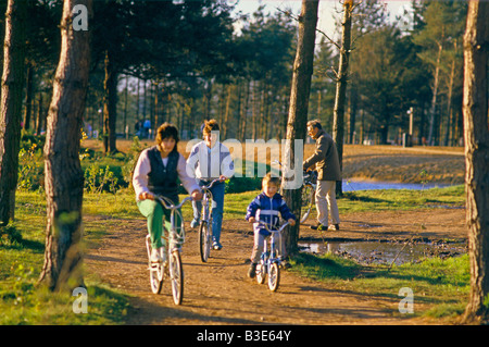 Familie Radfahren im Sherwood Forest Stockfoto