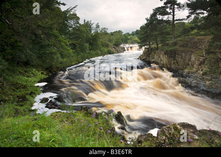 Geringe Kraft auf den Fluss Tees Stockfoto