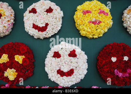 Blume und Sackler Bi jährlichen Rosenfestival Lottum Limburg Niederlande Stockfoto