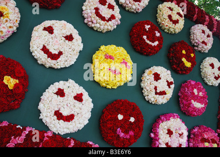 Blume und Sackler Bi jährlichen Rosenfestival Lottum Limburg Niederlande Stockfoto