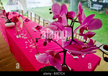 Tisch bei einer Hochzeitsfeier, bereit für die Hochzeit Frühstück gelegt. Stockfoto