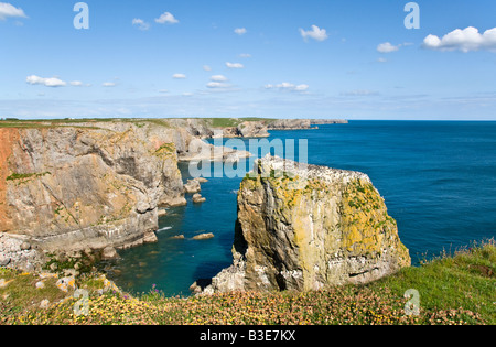 Stapeln Sie, Felsen, Pembrokeshire, Wales Stockfoto