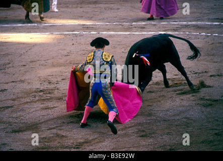 Mexikanische Stierkampf, Stierkampf, mexikanische Stierkämpfer Torero, Matador, Bull, Corrida, San Marcos Fair, Aguascalientes, Bundesstaat Aguascalientes, Mexiko Stockfoto