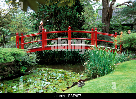 Nationalgestüt, Kildare, County Kildare, Irland, Bau von religiösen philosophisch historische Gärten im japanischen Stil Stockfoto