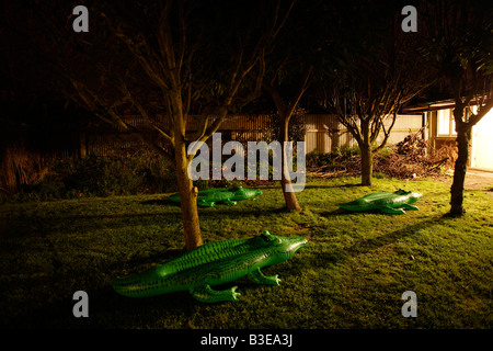 Aufblasbare Krokodil Serie Suburbia Stockfoto