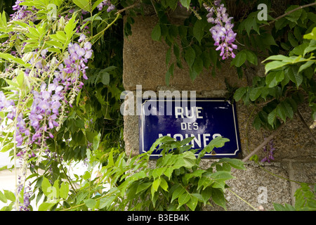 Glyzinien bedeckt Straßenschild in Frankreich Stockfoto