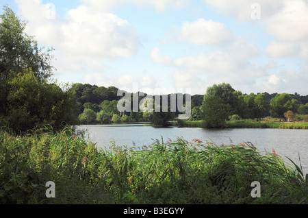 Der Fluß Yare flussabwärts von Norwich in Surlingham, Norfolk, Großbritannien. Stockfoto