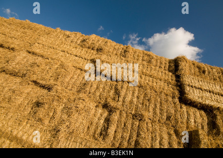 massive Heuhaufen gegen blauen Himmel Stockfoto