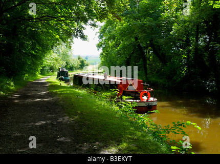 Narrowboats vertäut am Leeds-Liverpool-Kanal in der Nähe von East Marton, North Yorkshire, England UK Stockfoto