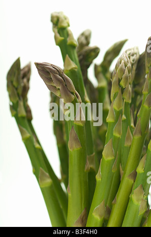 Spargel, close-up Stockfoto