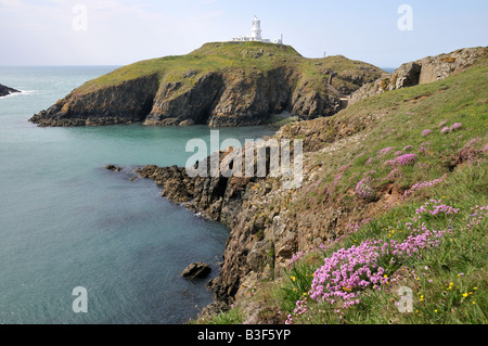 Stolperfallen Head Lighthouse Pembrokeshire Nationalpark Wales Stockfoto