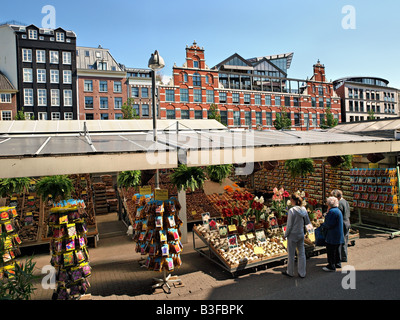Die Blume Markt, Amsterdam, Niederlande. Stockfoto