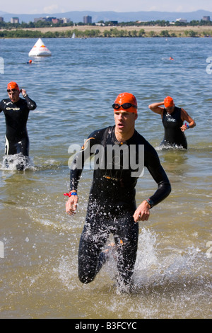 Schwimmer verlassen das Wasser bei der 2008 Suzuki s Newton 24 Stunden Triathlon Stockfoto