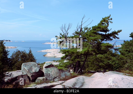 Wind fegte Kiefern auf Grundgestein Granitinsel unter dreißig tausend Inseln in Ontario Georgian Bay Stockfoto