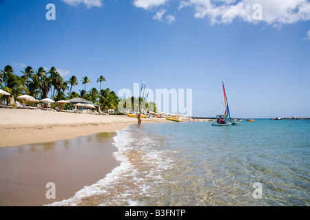 Atemberaubende Pinneys Strand mit Kokospalmen im Four Seasons Hotel in Nevis Karibik Stockfoto