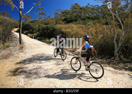 Radfahrer in Blue Mountains Stockfoto