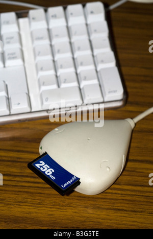 Compact Flash-Speicherkarte in den Kartenleser an den Computer angeschlossene Stockfoto