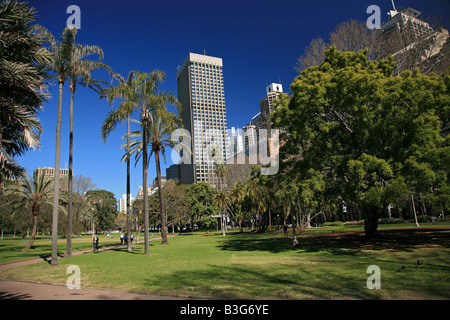 Stadt Hydepark in Sydney Stockfoto