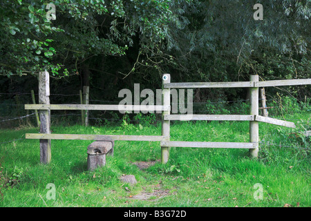 Einen Stil auf einem öffentlichen Wanderweg durch die Seite der Wiese am Surlingham, Norfolk, Großbritannien. Stockfoto