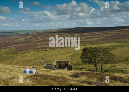 Top Withens, amd Platanen, möglicherweise die Inspiration für Emily Bronte's Wuthering Heights, Haworth Moor, West Yorkshire, England, Großbritannien Stockfoto